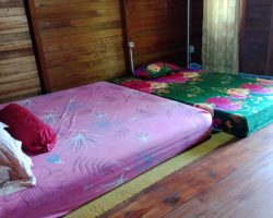 IMG-20251012-WA0011