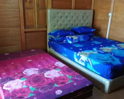 IMG-20251012-WA0017